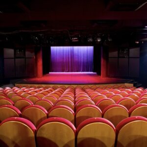 TFG_Grand_auditorium_scene